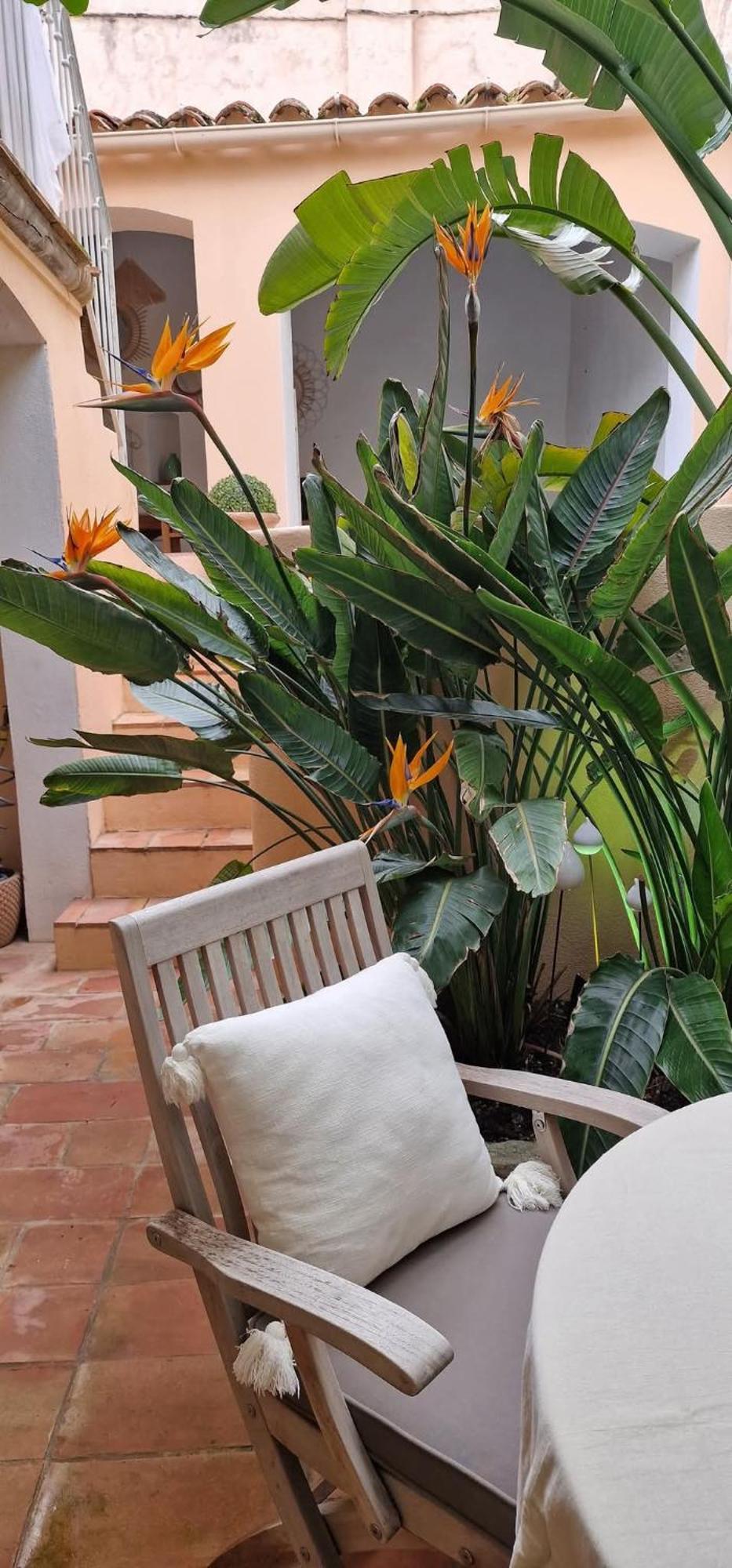 Maison Magdeleine Saint-Tropez Exterior photo
